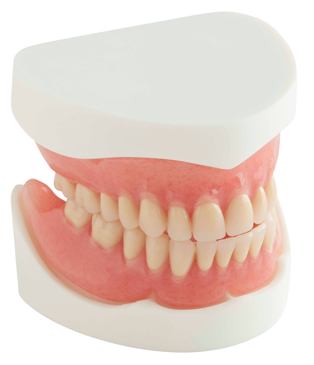 Removable Prosthodontics Full Acrylic Dentures Flexible Dentures